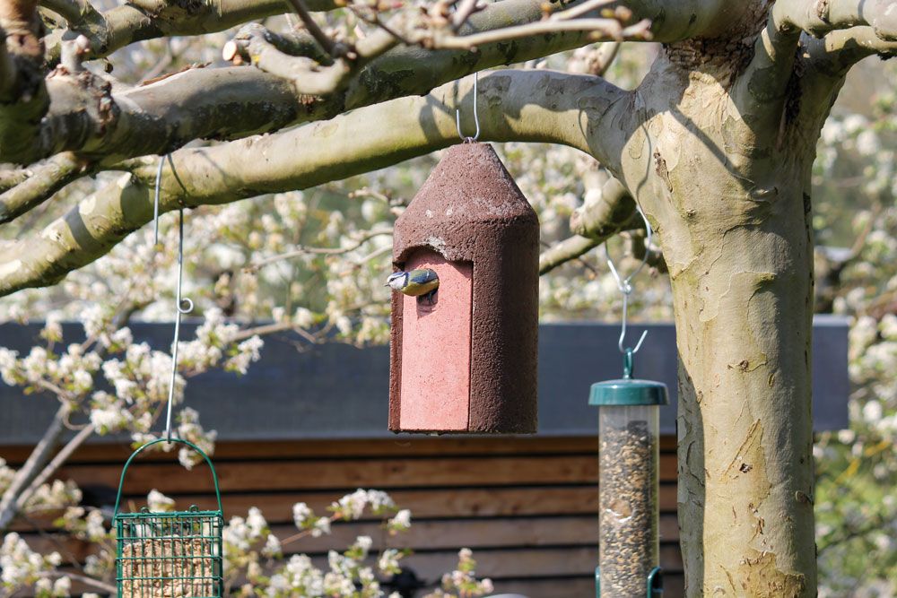 Naturschutzprodukt Nisthöhlen Satz 2 Stück Typ 2M Nisthilfe freihängend FO Vogelhöhle Flugloch 32 mm