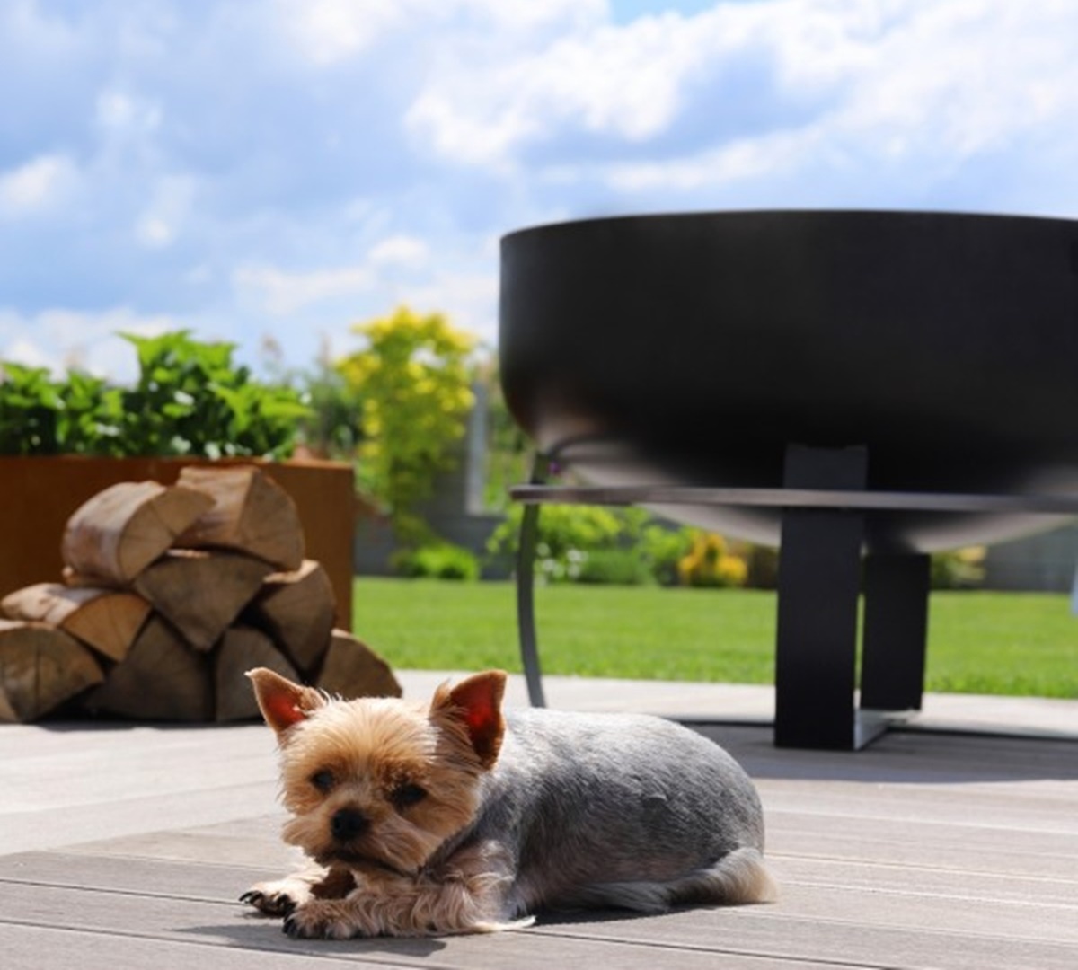 Feuerschale XXL Viking D 80 cm Grillschale Feuerstelle für Garten als Grill oder Wärmequelle  Stahl