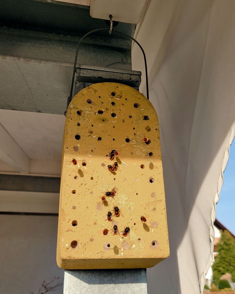 Naturschutzprodukt Insektennistblock aus Holzbeton Insektenhotel Artenschutz Produkt