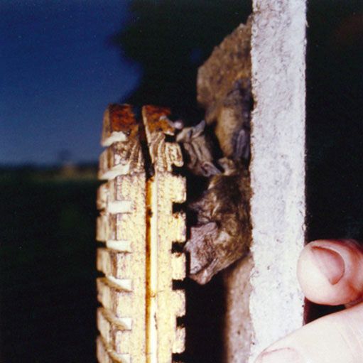 Naturschutzprodukt Fledermaushöhlen 2F Satz 2 Stück mit doppelter Vorderwand Artenschutz Produkt