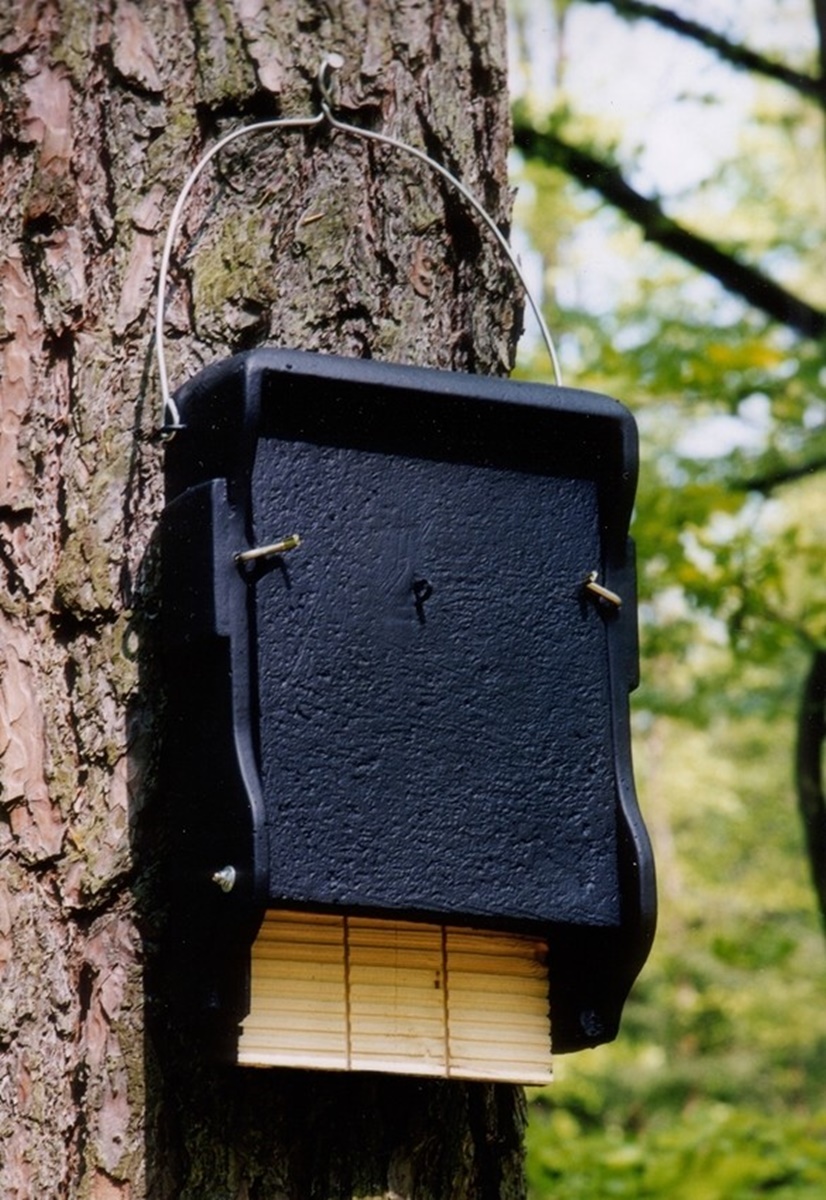 Naturschutzprodukt Fledermausflachkasten 1FF H 43 cm mit eingearbeiteter Holzrückwand Holzbeton