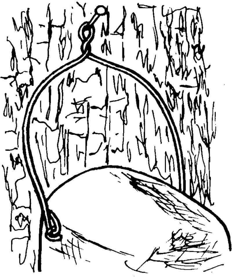 Naturschutzprodukt Nisthöhle Typ 2GR oval grün Flugloch 30 x 45 mm Nisthilfe Katzen- Marderschutz