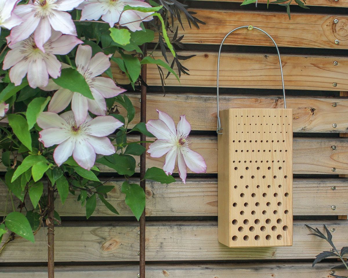 Insektennisthilfe Set - Insektenhotel mit Lehm & Schilf + Nistblock aus Hartholz Naturschutzprodukt