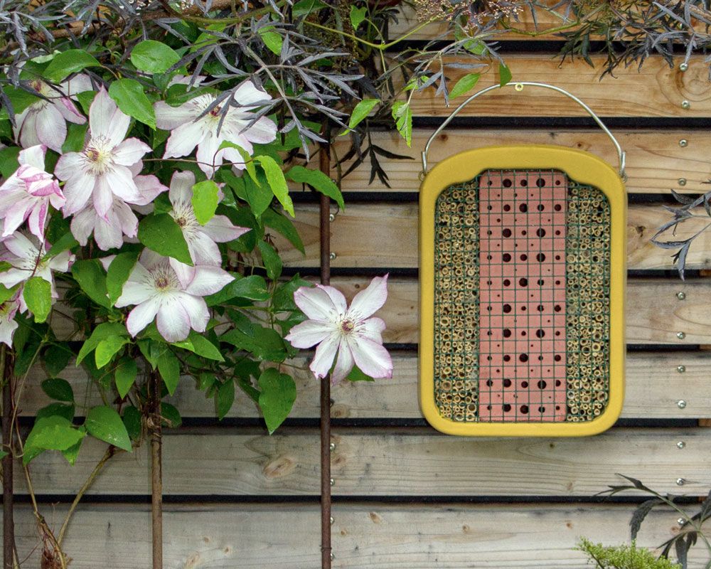 Insektennisthilfe Set - Insektenhotel mit Lehm & Schilf + Nistblock aus Hartholz Naturschutzprodukt