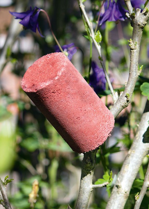 Naturschutzprodukt: Ohrwurmschlafröhren – Set mit 9 Stück zur Förderung des Insektenschutzes