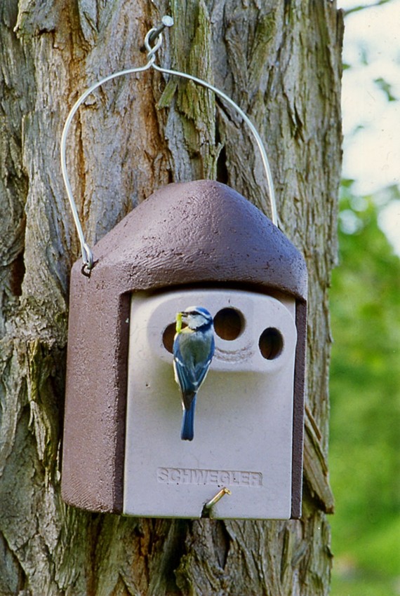Naturschutzprodukt Set II  Garten räubersicher " 3 Nisthöhlen für Gartenvögel" Artenschutz Produkt